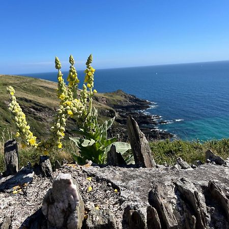 Pilchards Cottage Noss Mayo Екстериор снимка