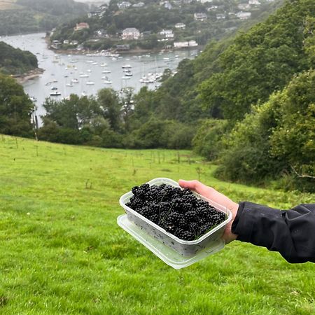 Pilchards Cottage Noss Mayo Екстериор снимка